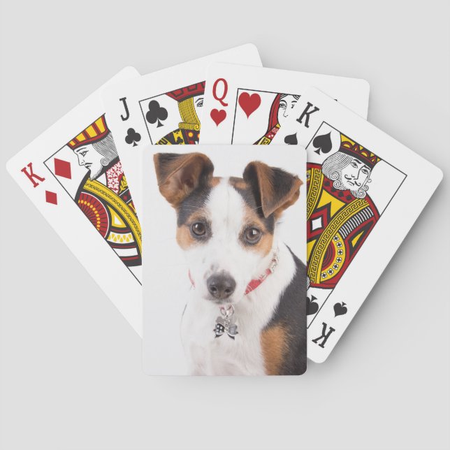 Baraja De Cartas Jack Russell (Reverso)