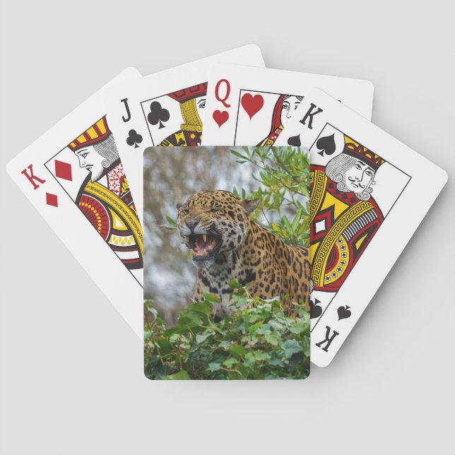 Baraja De Cartas Jaguar Growl (Reverso)