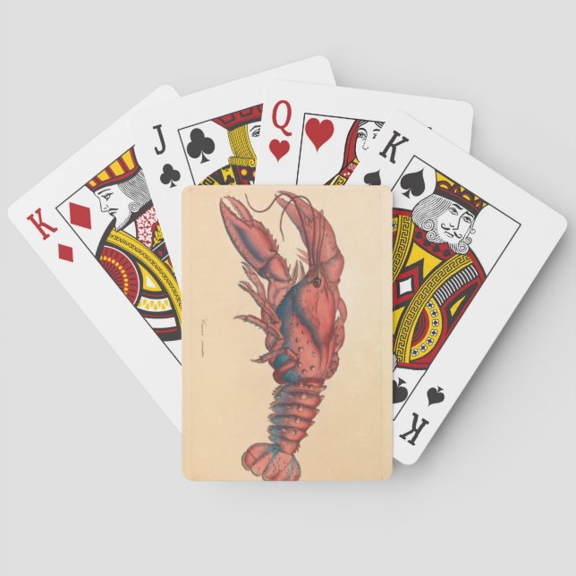 Baraja De Cartas James Sowerby Serrate Lobster (Reverso)