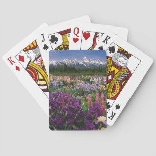 Baraja De Cartas Jardín de Iris y Lupino y cordillera Teton,