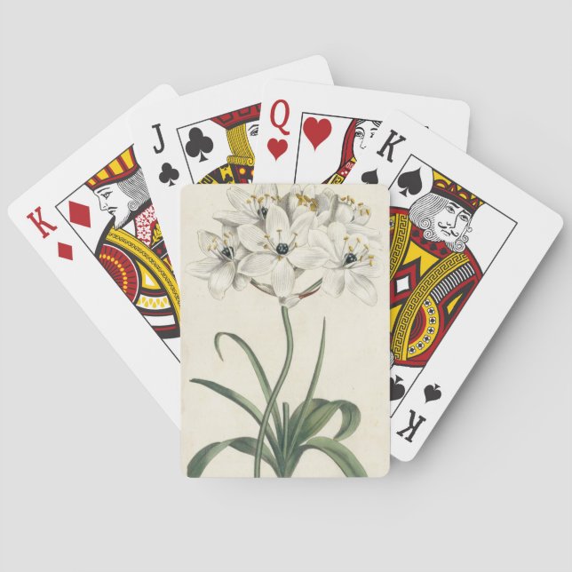 Baraja De Cartas Jardín de marfil