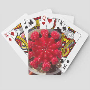 Baraja De Cartas Jardín superior de flor de cactus rojo