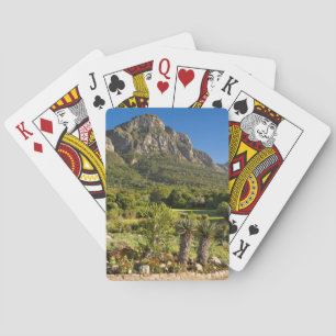 Baraja De Cartas Jardines botánicos de Kirstenbosch, Ciudad del Cab