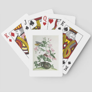 Baraja De Cartas Jazmín: con la serpiente, la polilla, el