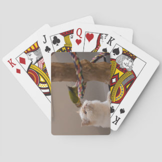 Baraja De Cartas Jeu de cartes bisou entre du chat et de l'oiseau