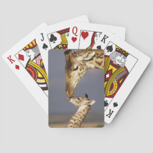 Baraja De Cartas Jirafa besando a una jirafa bebé
