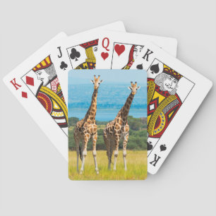 Baraja De Cartas jirafas en la sabana, Uganda