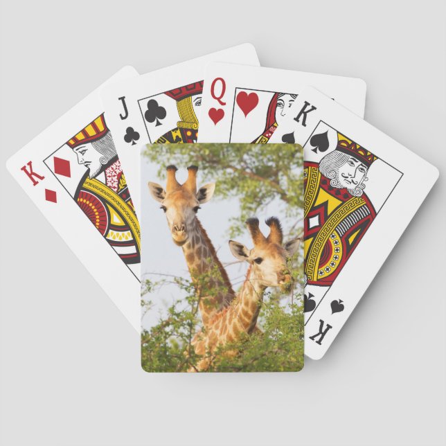 Baraja De Cartas jirafas que buscan sobre la vegetación (Reverso)