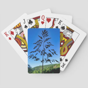 Baraja De Cartas Johnson Grass