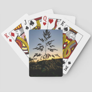 Baraja De Cartas Johnson Grass