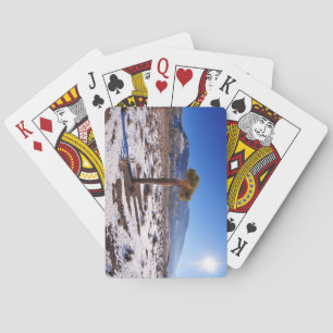 Baraja De Cartas Joshua Tree, California