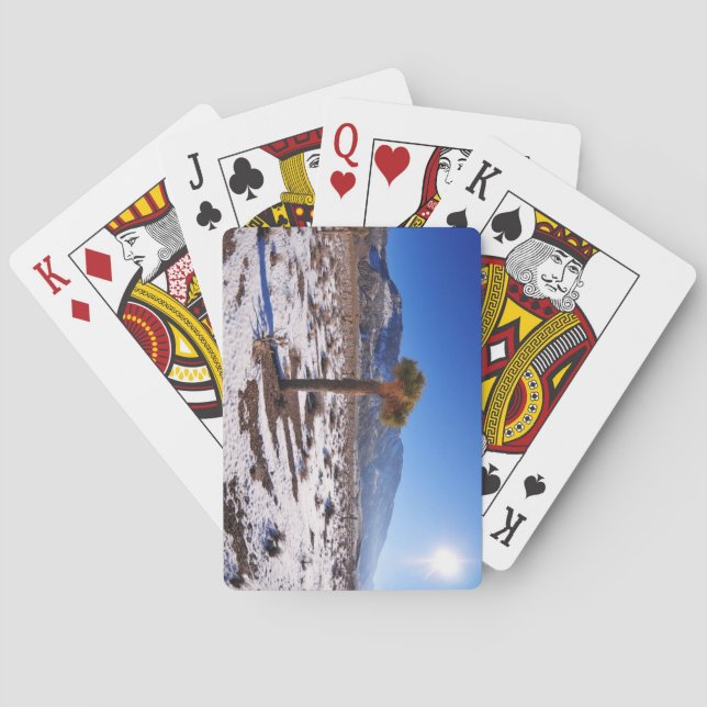 Baraja De Cartas Joshua Tree, California (Reverso)