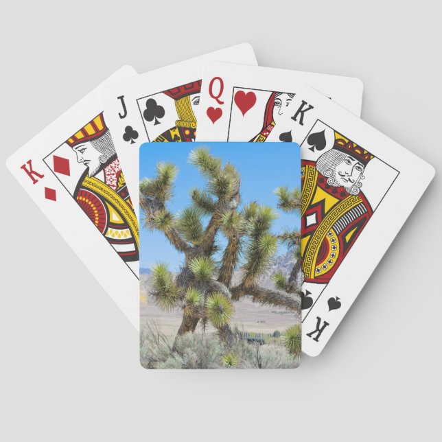 Baraja De Cartas Joshua Tree en California (Reverso)