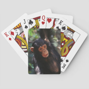 Baraja De Cartas Joven chimpancé