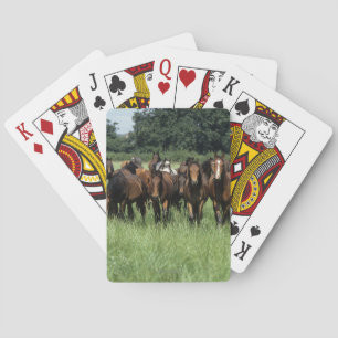 Baraja De Cartas Jóvenes excelentes