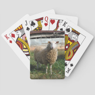 Baraja De Cartas Jóvenes ovejas blancas en la granja