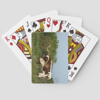 Baraja De Cartas Jugadores de Texas Longhorn