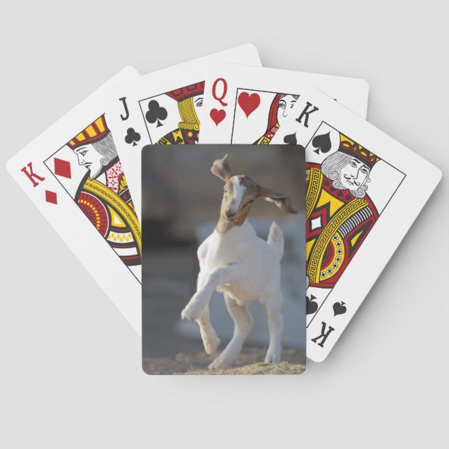 Baraja De Cartas Jugando Kid Goat (Reverso)