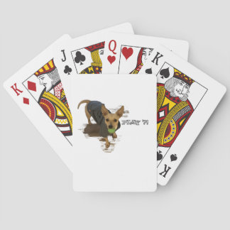 Baraja De Cartas ¡Jugar!