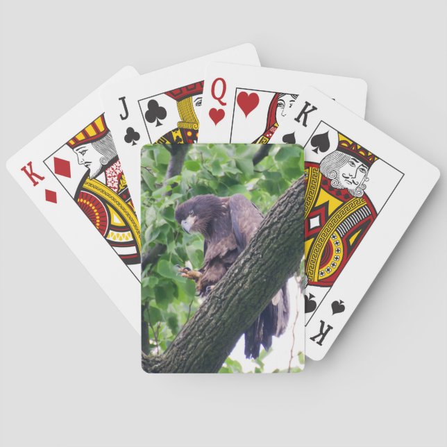 Baraja De Cartas Juvenile Bald Eagle (Reverso)