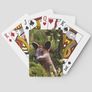 Baraja De Cartas Kangaroo