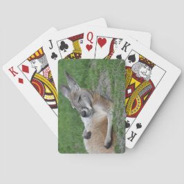 Baraja De Cartas Kangaroo