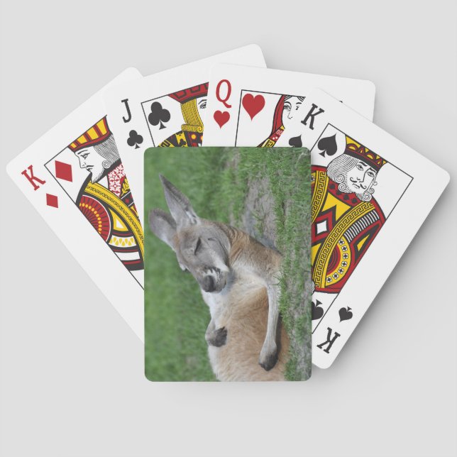 Baraja De Cartas Kangaroo (Reverso)