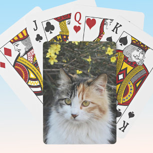Baraja De Cartas Keepsake Añadir tu foto de excelente calidad Kitty