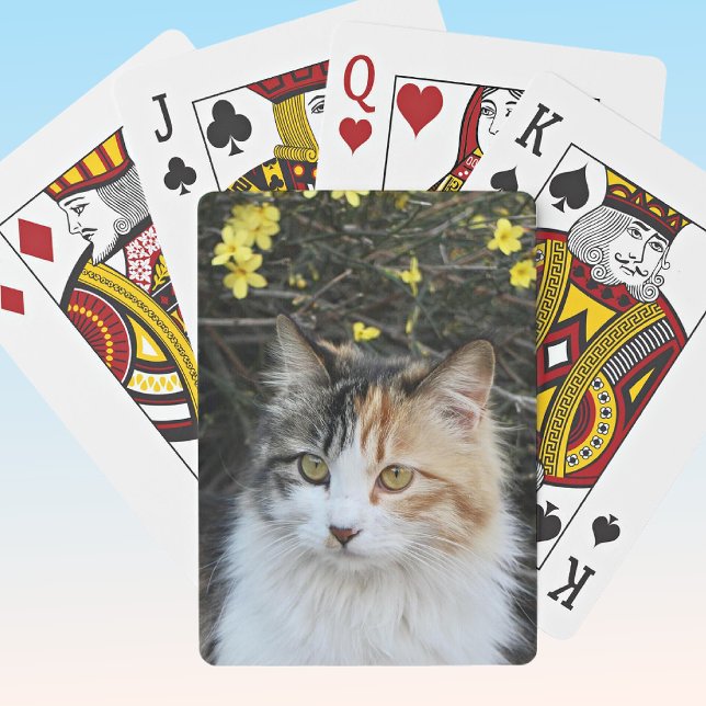 Baraja De Cartas Keepsake Añadir tu foto de excelente calidad Kitty (Subido por el creador)