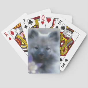 Baraja De Cartas Keeshond y Columbine - Fotografía de perro