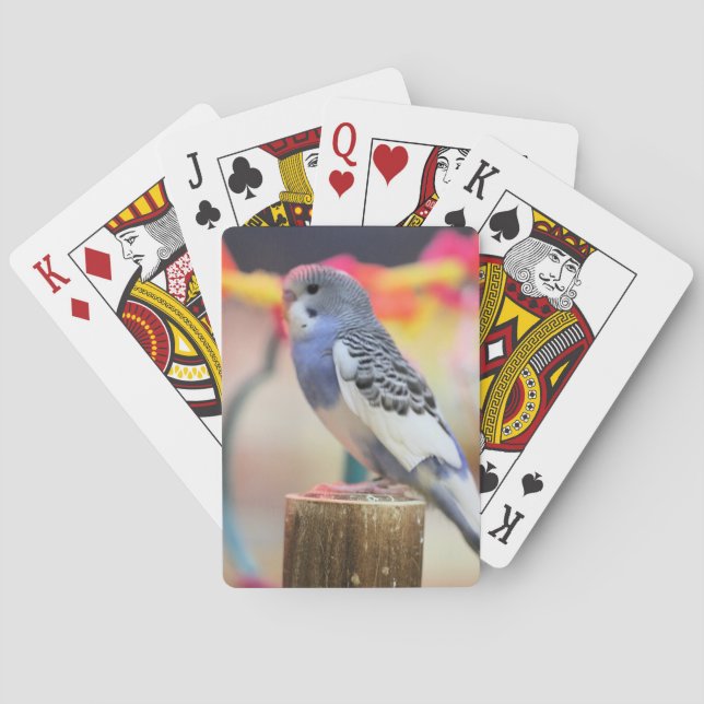 Baraja De Cartas Keet (Reverso)