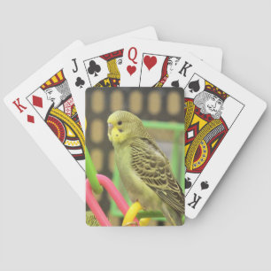 Baraja De Cartas Keet