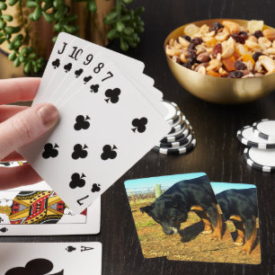 Baraja De Cartas Kelpie Sooky Face,