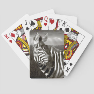 Baraja De Cartas Kenia. Blanco y negro de cebra y llanura.