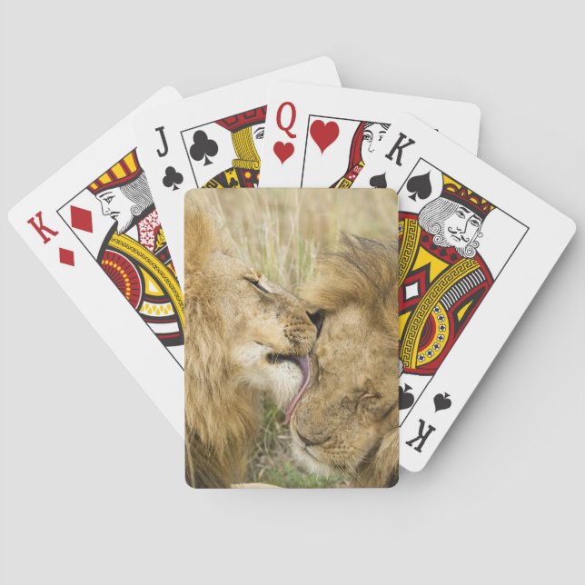 Baraja De Cartas Kenia, Masai Mara (Reverso)