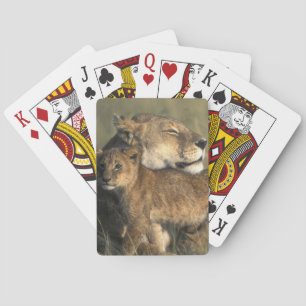 Baraja De Cartas Kenia, Reserva de caza Masai Mara, Leona