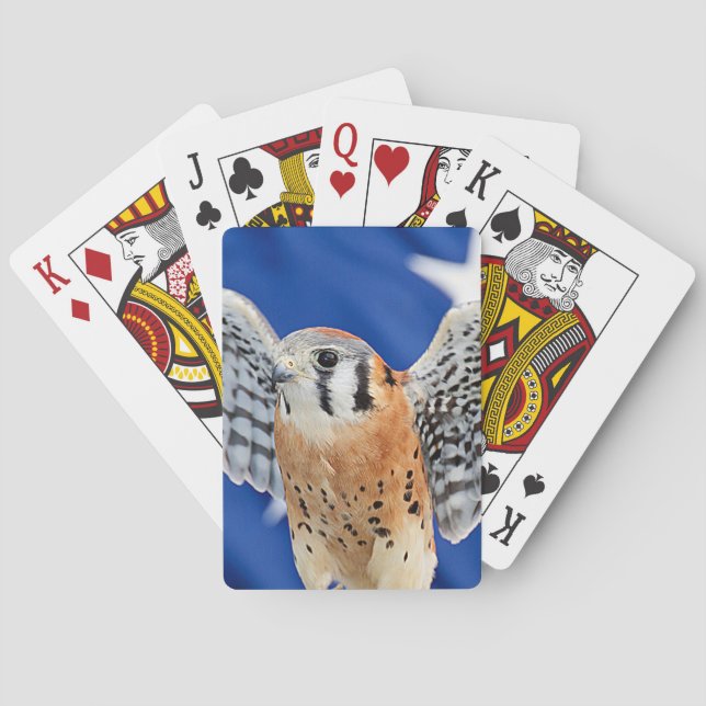 Baraja De Cartas Kestrel americano (Reverso)