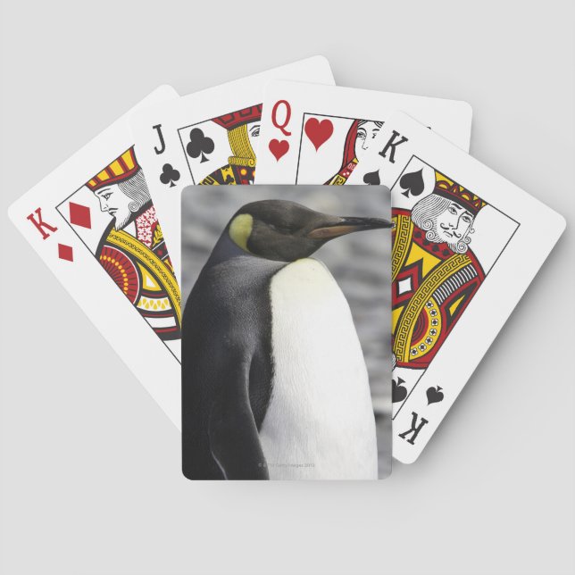 Baraja De Cartas King Penguin, Llanta Salisbury, Georgia del Sur (Reverso)