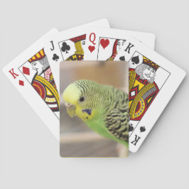 Baraja De Cartas Kiwi