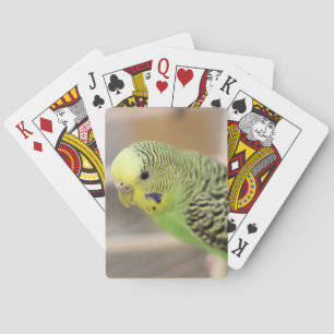 Baraja De Cartas Kiwi
