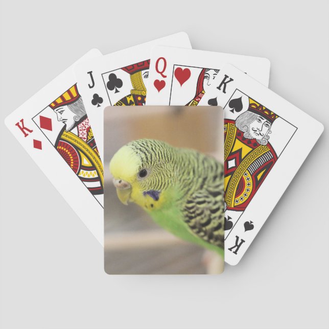 Baraja De Cartas Kiwi (Reverso)