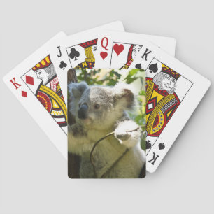 Baraja De Cartas koala