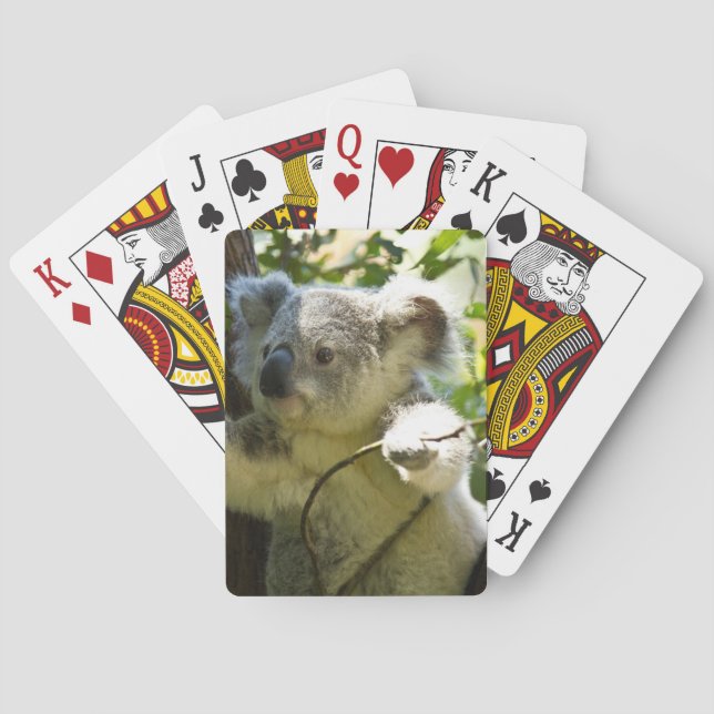 Baraja De Cartas koala (Reverso)