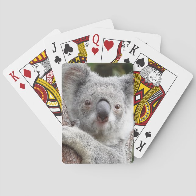 Baraja De Cartas Koala australiana (Reverso)