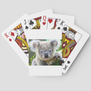 Baraja De Cartas Koala Bears