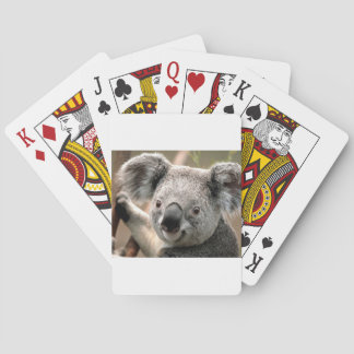 Baraja De Cartas koala un animal unico