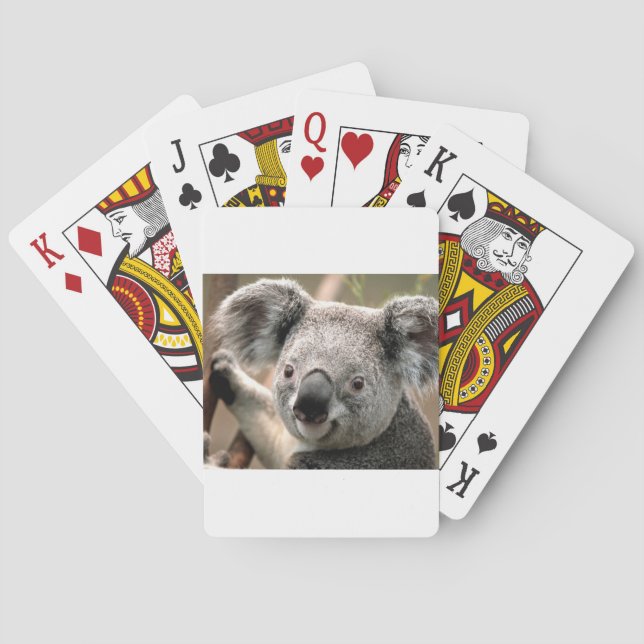 Baraja De Cartas koala un animal unico (Reverso)