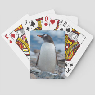 Baraja De Cartas La Antártida. Puerto de Neko. Pingüino de Gentoo