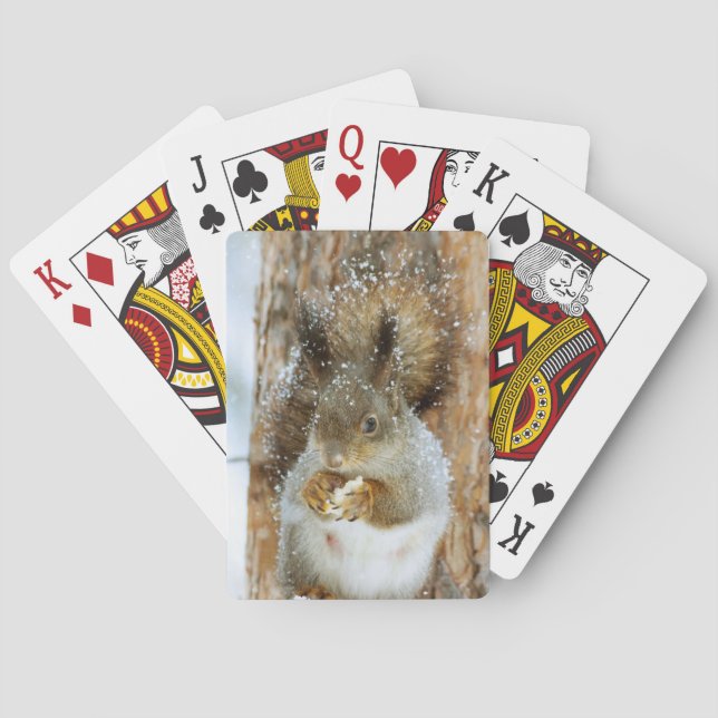 Baraja De Cartas La ardilla suave en un paisaje invernal (Reverso)
