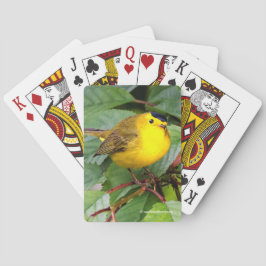 Baraja De Cartas La bella Warbler de Wilson en el árbol de cerezos